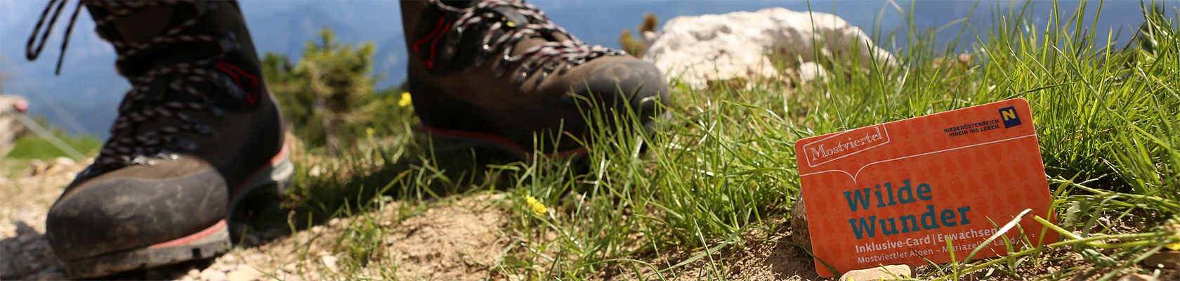 Wandern mit der Wilde Wunder Card, © schwarz-koenig.at