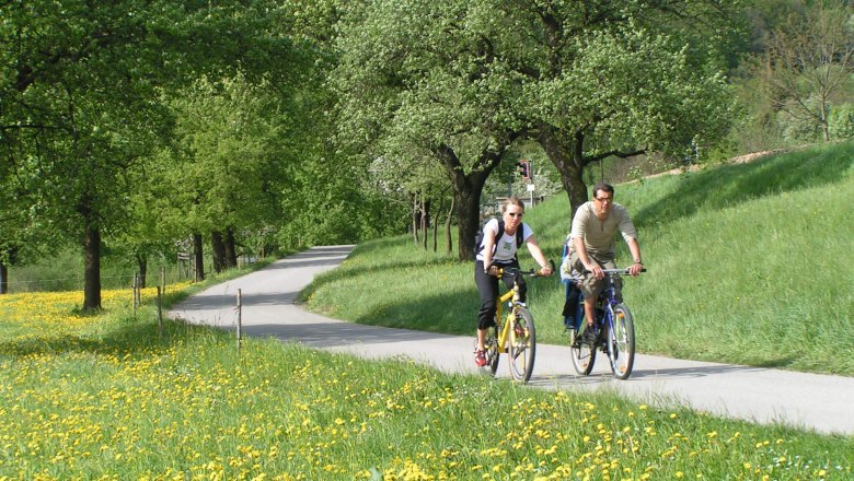Zwei Radfahrer auf einem Weg im Grünen, umgeben von blühenden Wiesen und Bäumen.